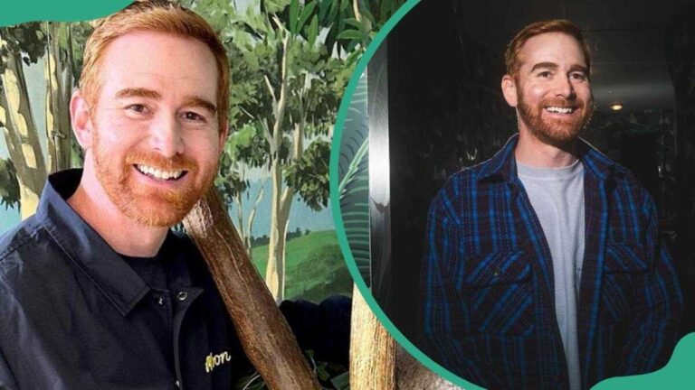 Andrew Santino Net Worth